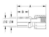 UAFF (Fuse-Bond) Union Adapter Female Flare-2